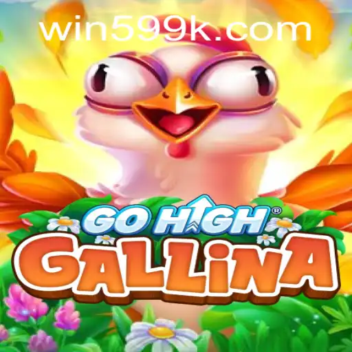 Exploring GoHighGallina: An Engaging New Platform for Gamers